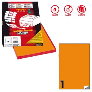 Etichette adesive C/503 - in carta - permanenti - 210 x 297 mm - 1 et/fg - 100 …