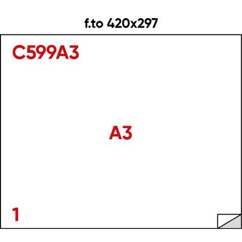 Etichette adesive C/599 - in carta - permanenti - 420 x 297 mm - 1 et/fg - 100 …