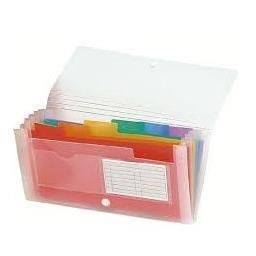 Exacompta - Fascicolo espandibile - 6 compartimenti - con schede - bianco trasp…