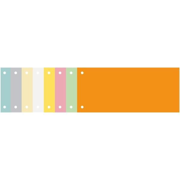 Exacompta Forever - Divisorio - 100 parti - per 105 x 240 mm - orizzontale - gi…