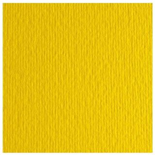 Fabriano Elle Erre - Cartoncino - 700 x 1000 mm - 10 fogli - cedro - 220 g/m² -…