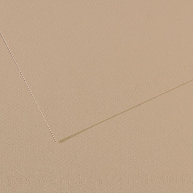 Foglio Mi-Teintes - A4 - 160 gr - grigio trianon - Canson