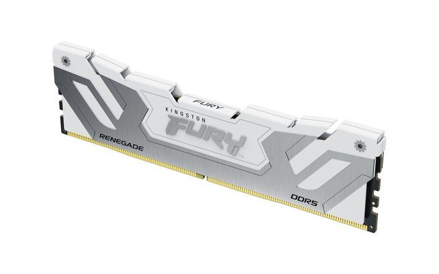 Kingston Renegade