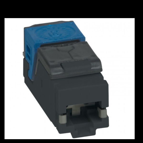 LEGRAND PRESA RJ45U CAT.6 NERO CF6