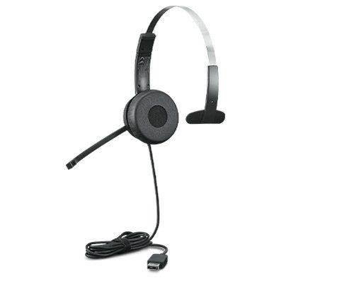 Lenovo 100 - Cuffie con microfono - on-ear - cablato - USB-A - nero - per IdeaP…