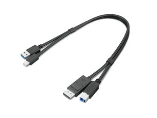 Lenovo Dual Head - Kit cavo display/USB - USB Tipo A, DisplayPort (M) a USB Typ…