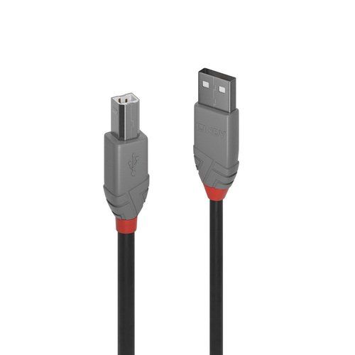 Lindy Anthra Line - Cavo USB - USB (M) a USB Tipo B (M) - USB 2.0 - 2 m - di fo…