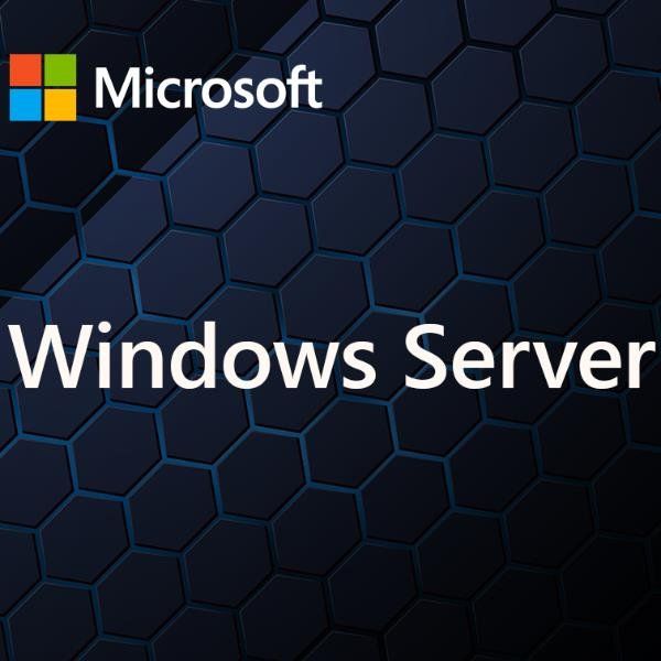 MICROSOFT WINDOWS SERVER CAL 2025 IT 5DEV CAL