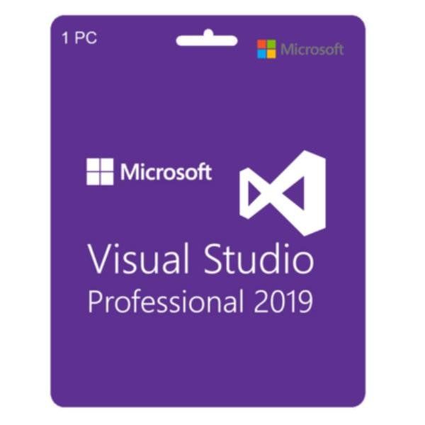 Microsoft Visual Studio Professional Edition - Licenza e garanzia software aggi…