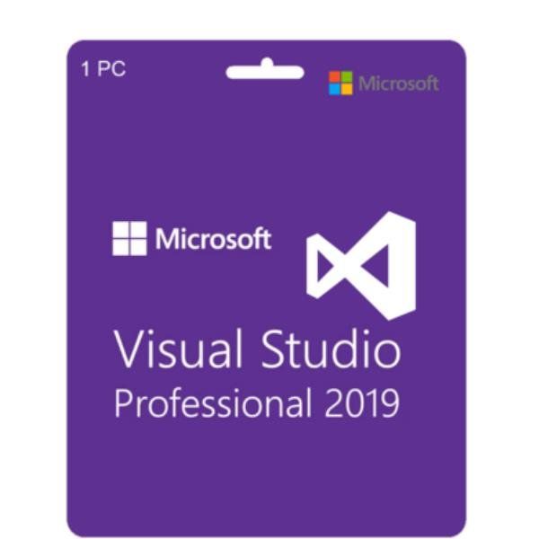 Microsoft Visual Studio Professional Edition - Licenza e garanzia software aggi…