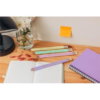 Matita Evolution Pastel - gradazione HB - con gommino - colori assortiti - Bic …