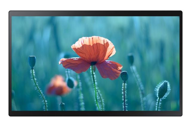 Monitor Digital Signage - QB24R-TB