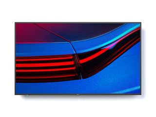 NEC MultiSync P495 - 49" Categoria diagonale P Series Display LCD retroillumina…