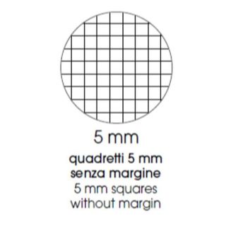 Maxiquaderno Animal fantasia - A4 - 5mm - 40+2 fogli - 80gr - BM
