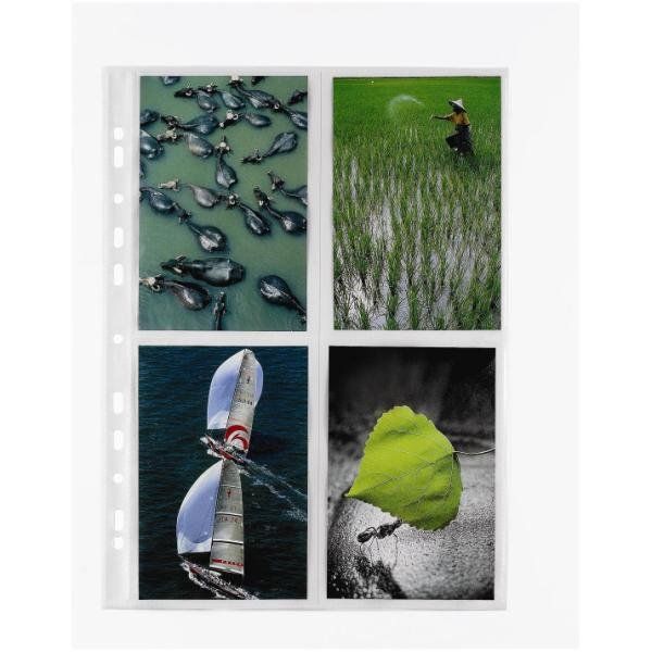 BUSTE PORTAFOTO SPECIAL PP 22 5X31 5 CON DIVISORIO NATURENE (POLIPROPILENE) FOR…