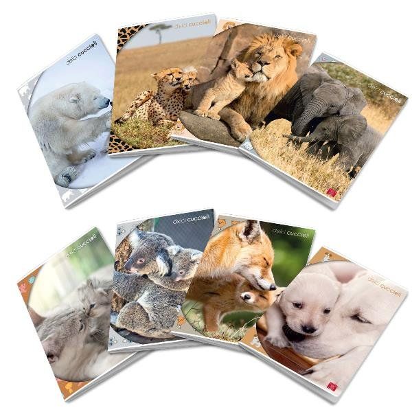 Maxiquaderno Dolci Cuccioli - A4 - rigo di 1a - 42 fogli - 80 gr - Pigna