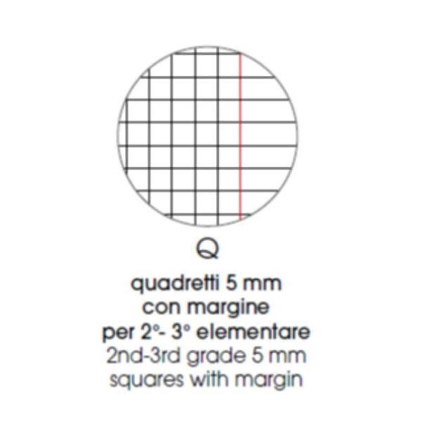PIGNA CUCCIOLI QUADERNO PUNTO METALLICO 210X297 mm A4 80 GR 20 FOGLI A QUADRETT…