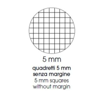 PIGNA CUCCIOLI QUADERNO PUNTO METALLICO 80GR 210X297 mm A4 20 FOGLI A QUADRETTI…