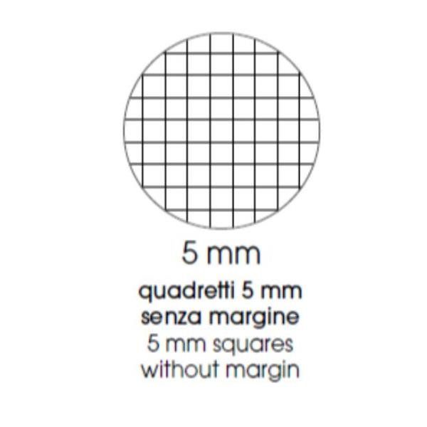 PIGNA CUCCIOLI QUADERNO PUNTO METALLICO 80GR 210X297 mm A4 20 FOGLI A QUADRETTI…