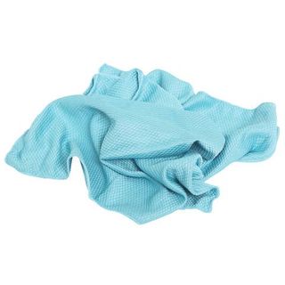 Panno in microfibra Pippo per vetri - 50x40 cm colore azzurro - NP1806
