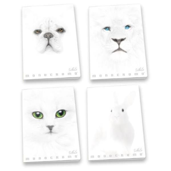 Pigna Monocromo White - Quaderno - graffettato - A4 - 19 fogli - righe - dispon…