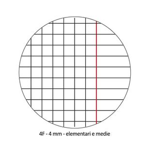 Quaderno Pigna A4 20 fogli copertina cartone plastificato assortiti