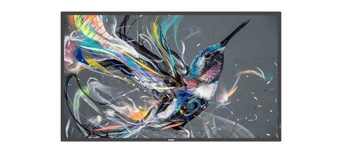 Philips 32BDL3511Q - 32" Categoria diagonale (31.5" visualizzabile) - Q-Line Di…