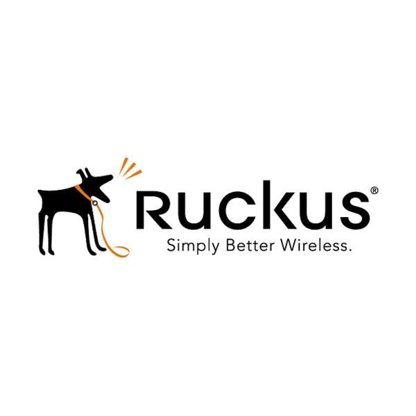 RUCKUS NETWORKS ADV HW REPL RENEW UNLEASHED R510