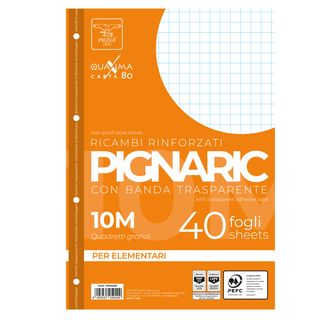 Ricambi forati rinforzati Pignaric - A4 - 10mm - 80gr - Pigna - conf. 40 pezzi