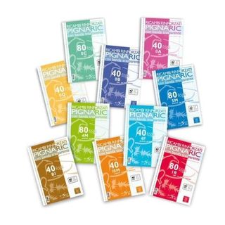 Ricambi forati rinforzati Pignaric - A4 - 4mm - 80gr - Pigna - conf. 40 pezzi