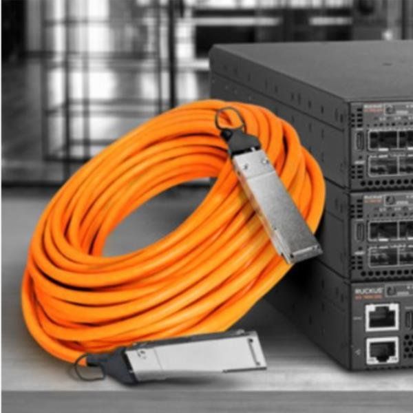 Ruckus E40G-QSFP-C-00501 - Cavo applicazione diretta 40GBase - QSFP+ (M) a QSFP…