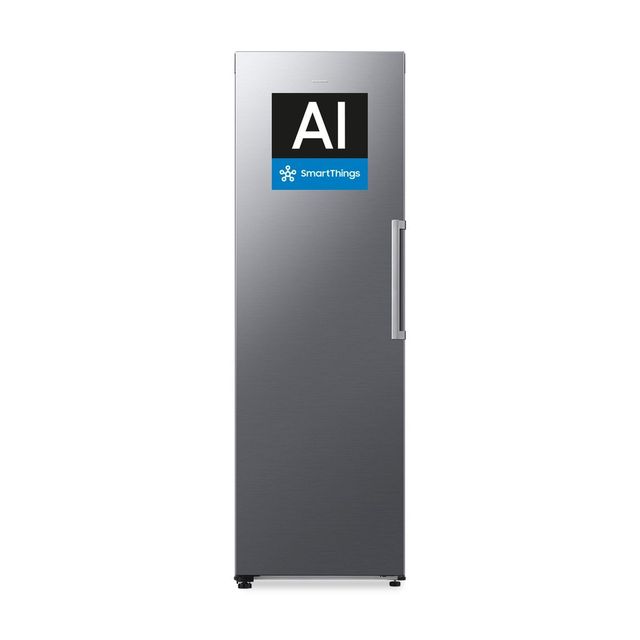 SAMSUNG FREEZER MONOPORTA SILVER CL. D