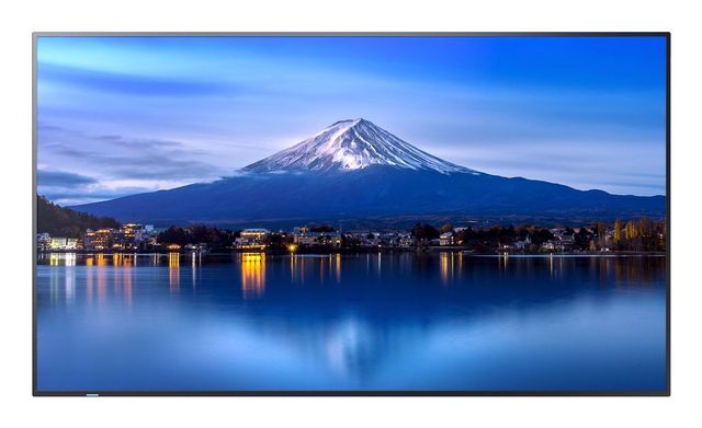 SHARP/NEC MultiSync P656, Design chiosco, 163,8 cm (64.5ʺ), LCD, 3840 x 2160 Pi…