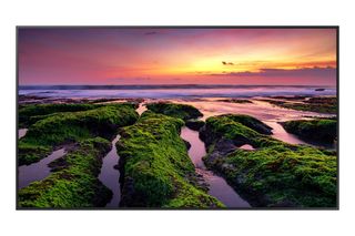 Samsung QB50B - 50" Categoria diagonale QBB Series Display LCD retroilluminato …