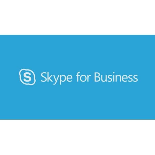 Skype for Business Server Enterprise 2019 User CAL - Commercial