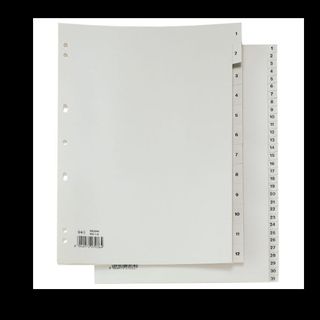 Separatore numerico 1/12 Record R - PP - 21 x 29.7 cm - A4 - Sei Rota