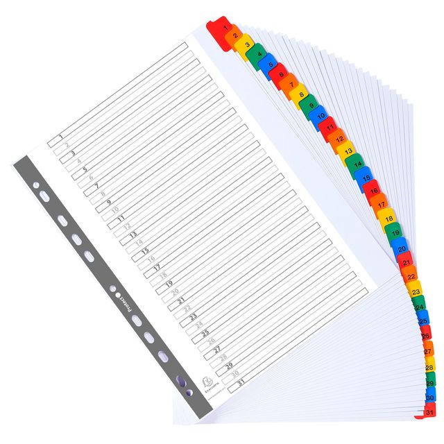 Separatore numerico 1/31 - cartoncino bianco 160 gr - tasti colorati - A4 maxi …