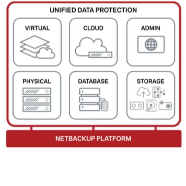 Veritas Essential Support - Supporto tecnico (rinnovo) - per Veritas NetBackup …