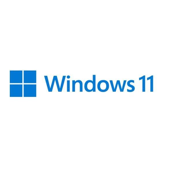 Windows 11 Home - Licenza - 1 licenza - OEM - DVD - 64-bit - Italiano