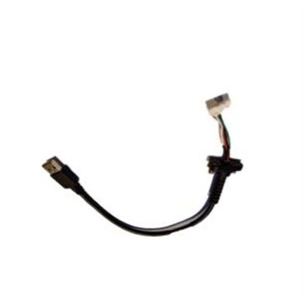 Zebra - Cavo tastiera - USB (M) - 18 cm - per P/N: KYBD-AZ-VC-01, KYBD-QW-VC-01