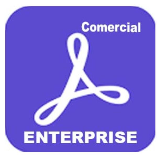 Adobe Acrobat Sign Solutions for enterprise - Licenza a termine (1 anno) - 1 ut…