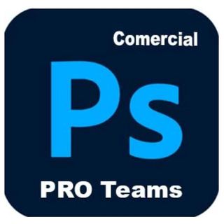 Adobe Photoshop Pro for teams - Nuovo abbonamento (1 anno) - 1 utente - GOV - A…