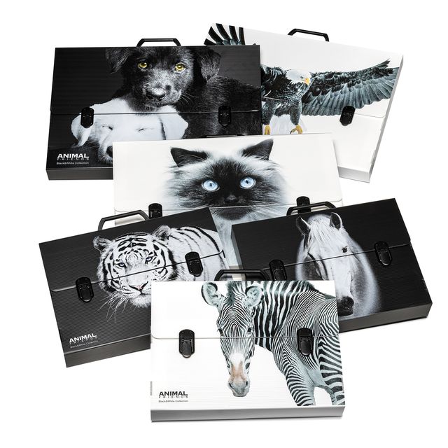Valigetta polionda Animal Friends - 38 x 53 cm - dorso 5 cm - fantasie assortit…
