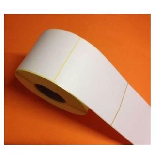 Zebra Trans Matte 2000 - Opaca - bianco brillante - 50.8 x 101.6 mm 4568 etiche…