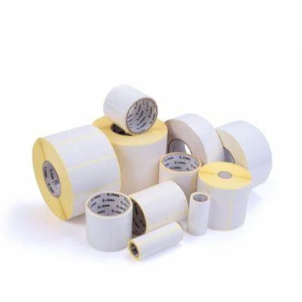 Zebra Z-Perform 1000T - Carta - adesivo acrilico permanente - Non rivestita - b…