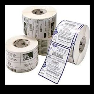 Zebra Z-Perform 1000T - Carta - adesivo permanente - Non rivestita - 210 x 298 …