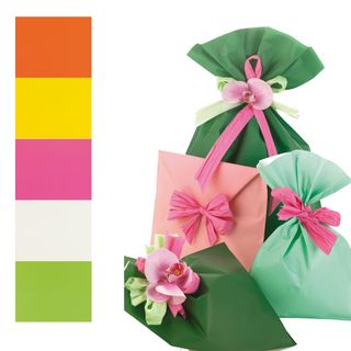 Busta regalo Mat Pearly B - 25 x 40 cm - 40 micron - PPL - assortimento 5 color…