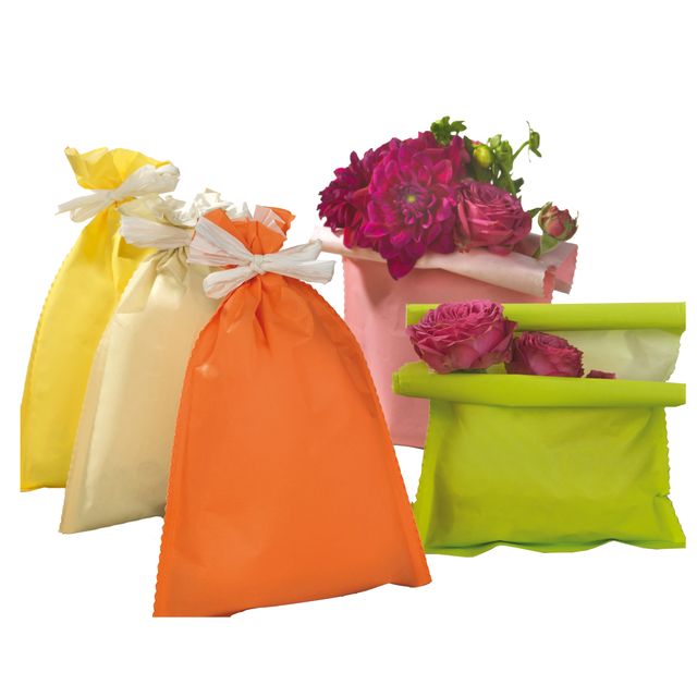 Busta regalo Spring - 20 x 32 cm - 45 gr - carta - 5 colori assortiti - PNP - c…