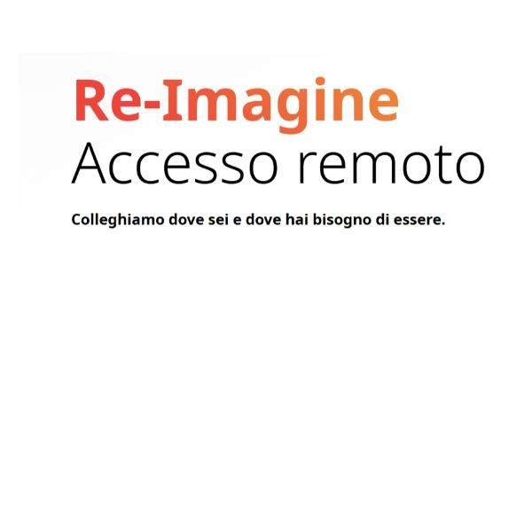 ANYDESK 1 REMOTE WORKERS 1Y
