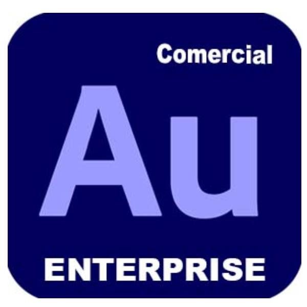 Adobe Audition for enterprise - Nuovo abbonamento (1 anno) - 1 utente nominale …